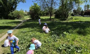 Sówki: Maj 2026 - Zdjęcie 36