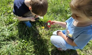 Sówki: Maj 2026 - Zdjęcie 41