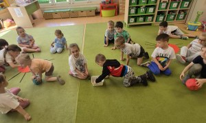 Sówki: Maj 2026 - Zdjęcie 52