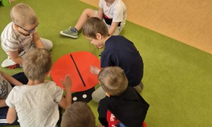 Sówki: Maj 2026 - Zdjęcie 53