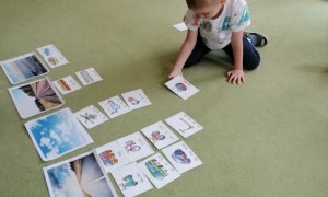 Sówki: Maj 2026 - Zdjęcie 54