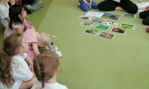 Sówki: Maj 2026 - Zdjęcie 57
