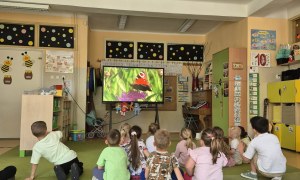 Sówki: Maj 2026 - Zdjęcie 59