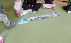 Sówki: Maj 2026 - Zdjęcie 25