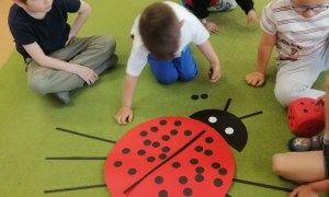 Sówki: Maj 2026 - Zdjęcie 28