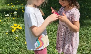 Sówki: Maj 2026 - Zdjęcie 30