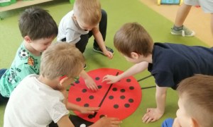 Sówki: Maj 2026 - Zdjęcie 39