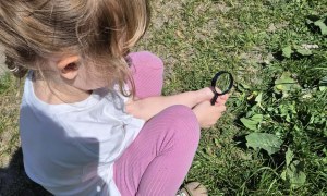 Sówki: Maj 2026 - Zdjęcie 48