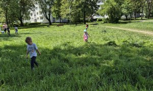 Sówki: Maj 2026 - Zdjęcie 58