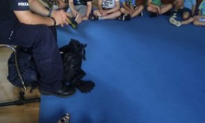 Bezpieczny Przedszkolak- Spotkanie z policjantem - Zdjęcie 137