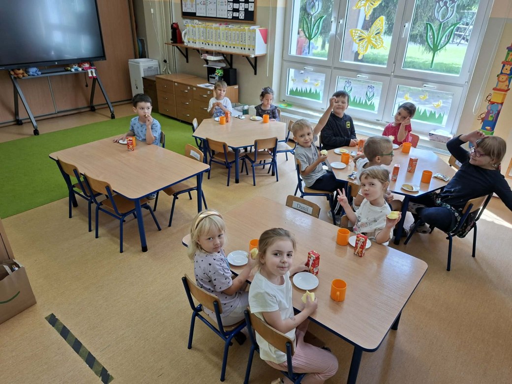 Sówki: Czerwiec 2026 - Zdjęcie 13