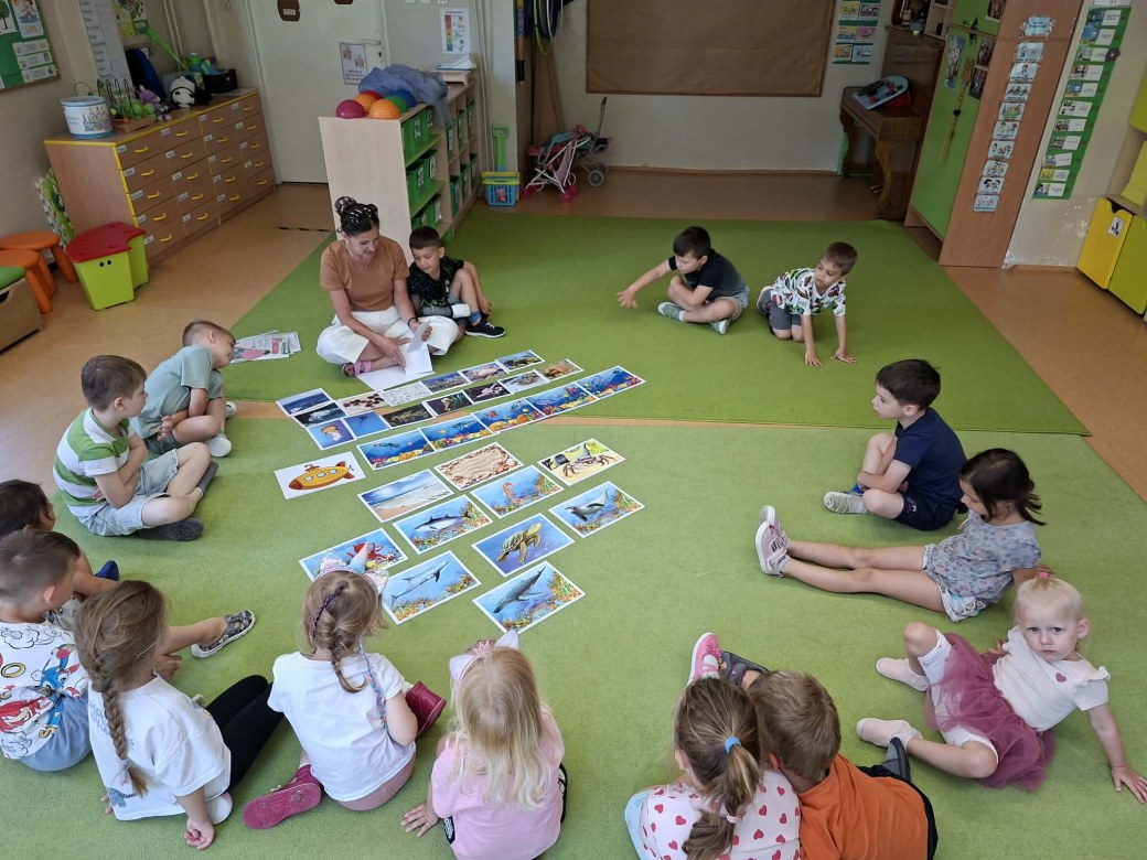 Sówki: Czerwiec 2026 - Zdjęcie 77