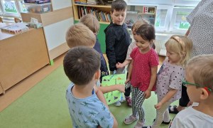 Sówki: Czerwiec 2026 - Zdjęcie 3