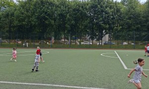 Sówki: Czerwiec 2026 - Zdjęcie 12