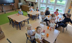 Sówki: Czerwiec 2026 - Zdjęcie 13