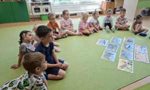Sówki: Czerwiec 2026 - Zdjęcie 30