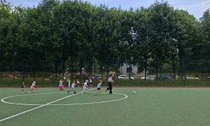 Sówki: Czerwiec 2026 - Zdjęcie 46