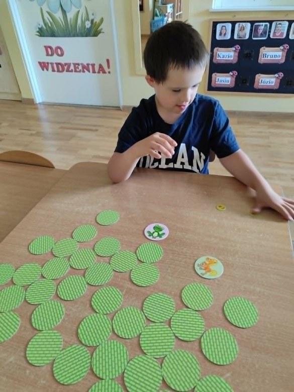 Tygryski: Czerwiec 2026 - Zdjęcie 28