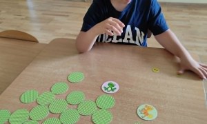 Tygryski: Czerwiec 2026 - Zdjęcie 28