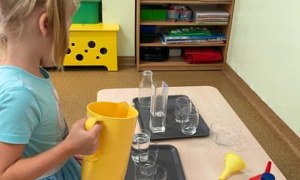 Misie: Czerwiec 2026 - Zdjęcie 2