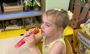 Misie: Czerwiec 2026 - Zdjęcie 9