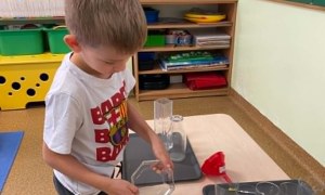 Misie: Czerwiec 2026 - Zdjęcie 69