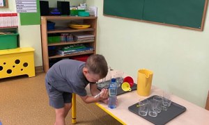 Misie: Czerwiec 2026 - Zdjęcie 111