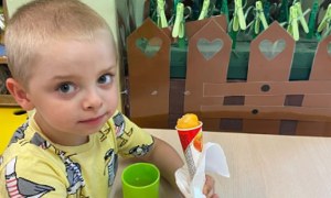 Misie: Czerwiec 2026 - Zdjęcie 152