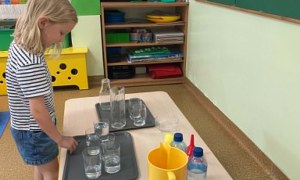 Misie: Czerwiec 2026 - Zdjęcie 101