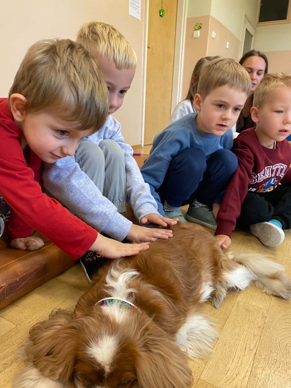 Dogoterapia - Zdjęcie 10
