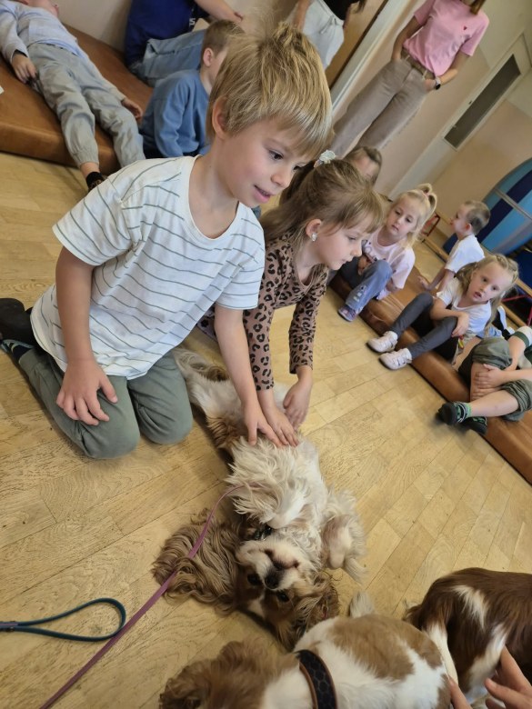 Dogoterapia - Zdjęcie 49