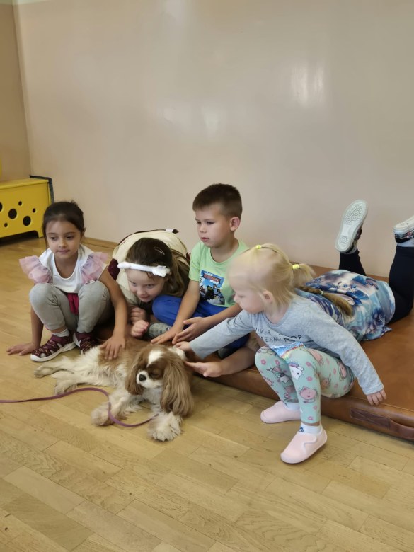 Dogoterapia - Zdjęcie 33