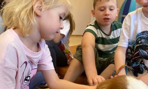 Dogoterapia - Zdjęcie 9