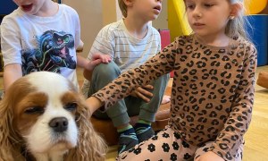 Dogoterapia - Zdjęcie 14
