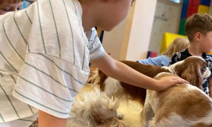 Dogoterapia - Zdjęcie 18