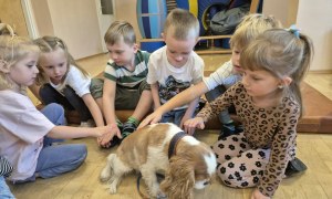 Dogoterapia - Zdjęcie 57