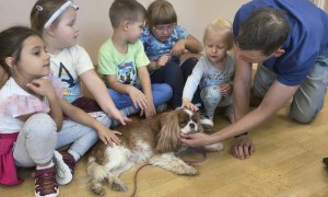 Dogoterapia - Zdjęcie 31