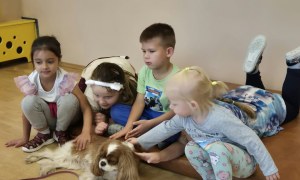 Dogoterapia - Zdjęcie 33