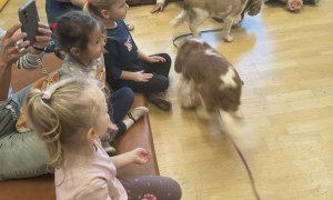Dogoterapia - Zdjęcie 39