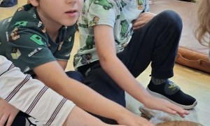 Muminki: Wrzesień 2026 - Zdjęcie 44