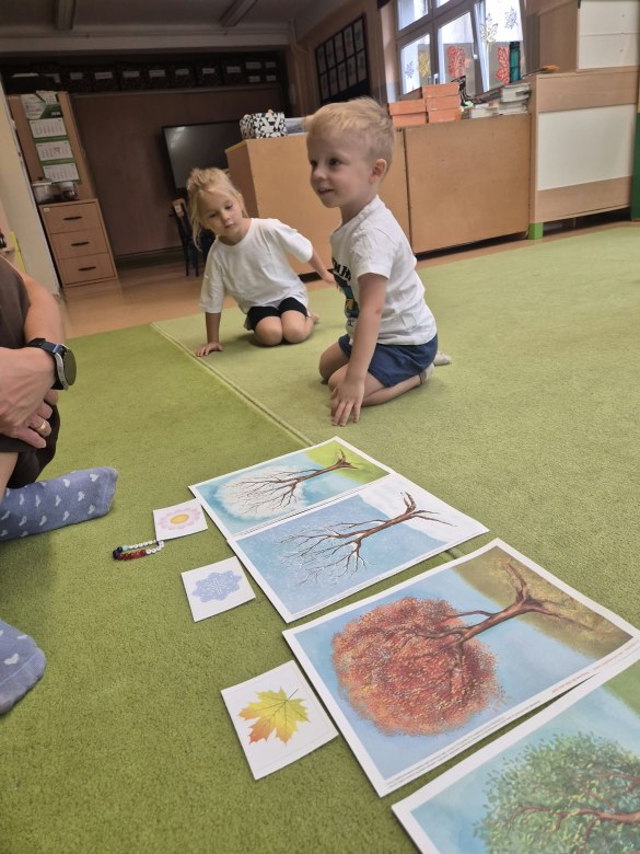 Sówki: Wrzesień 2026 - Zdjęcie 114