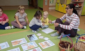 Sówki: Wrzesień 2026 - Zdjęcie 10