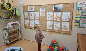 Sówki: Wrzesień 2026 - Zdjęcie 48