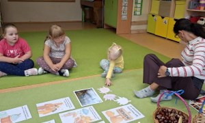 Sówki: Wrzesień 2026 - Zdjęcie 73