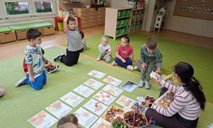 Sówki: Wrzesień 2026 - Zdjęcie 116