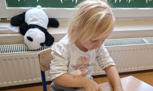 Sówki: Wrzesień 2026 - Zdjęcie 129