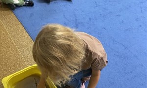 Misie: Wrzesień 2026 - Zdjęcie 7