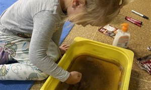 Misie: Wrzesień 2026 - Zdjęcie 12