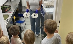 Misie: Wrzesień 2026 - Zdjęcie 26