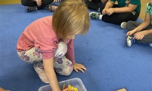 Misie: Wrzesień 2026 - Zdjęcie 71